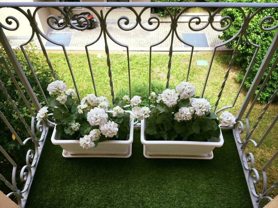 L'Orchidea Daire Torino Dış mekan fotoğraf
